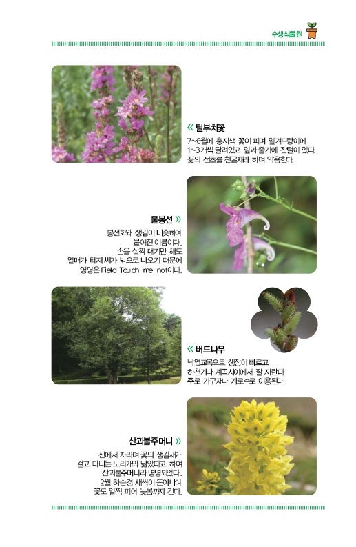 수생식물원