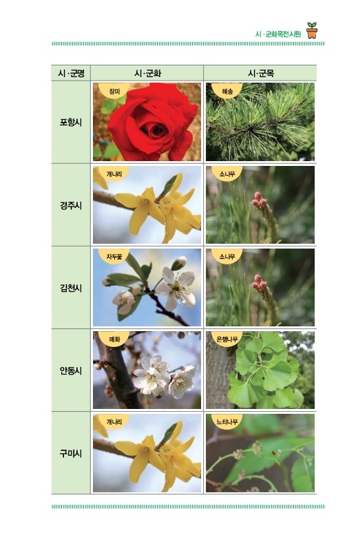 시ㆍ군화목전시원