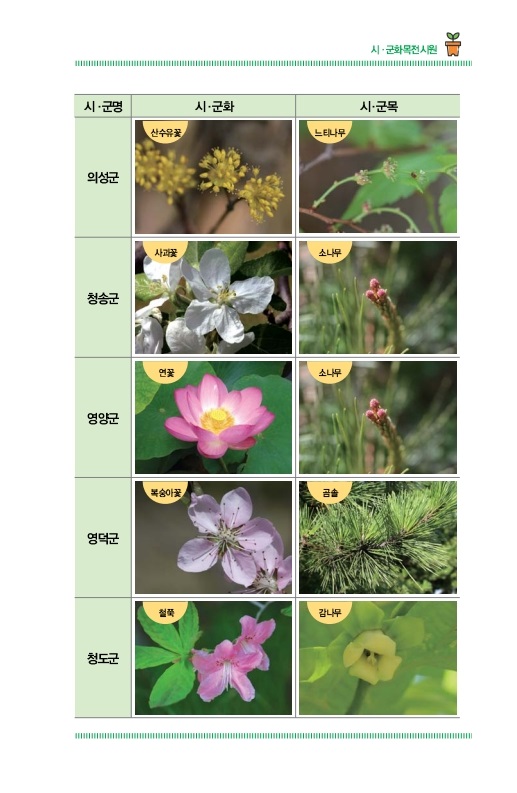 시ㆍ군화목전시원