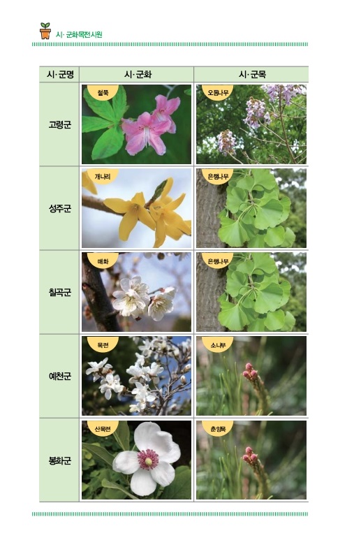 시ㆍ군화목전시원