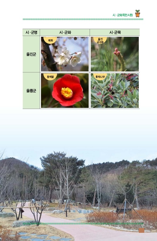 시ㆍ군화목전시원