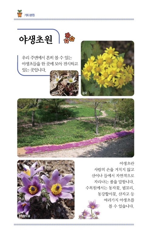 야생초원