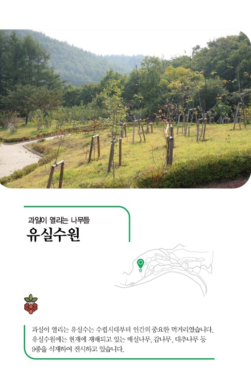 유실수원