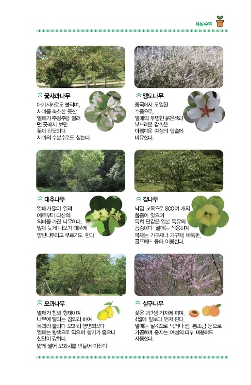 유실수원