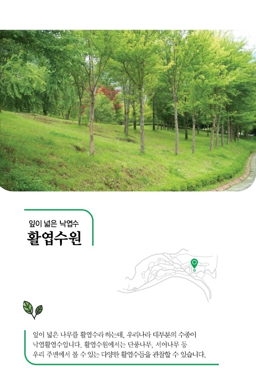 활엽수원