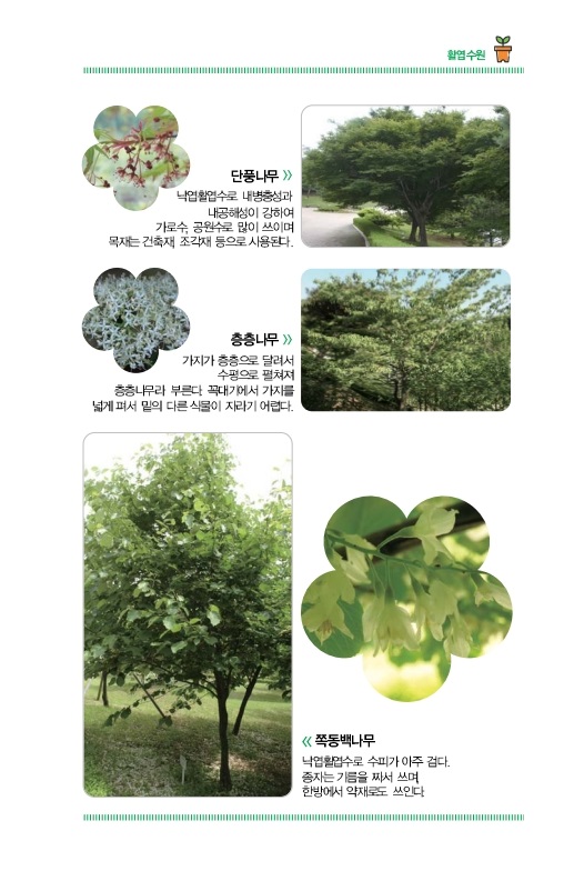 활엽수원