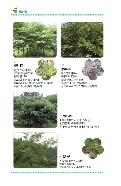 활엽수원