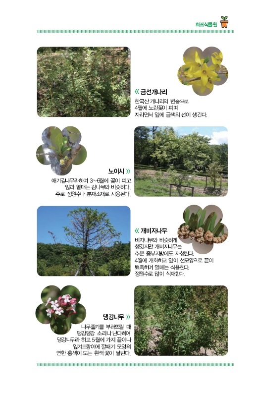 희귀식물원