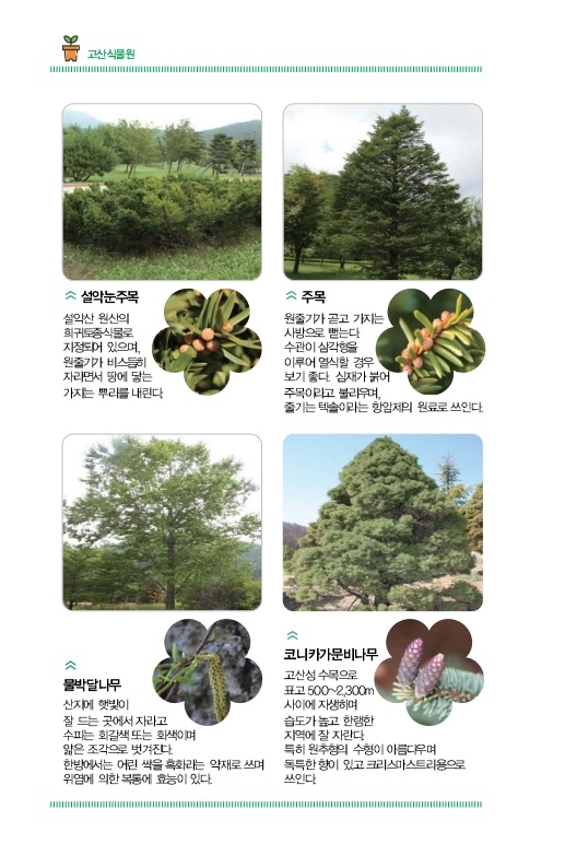 고산식물원