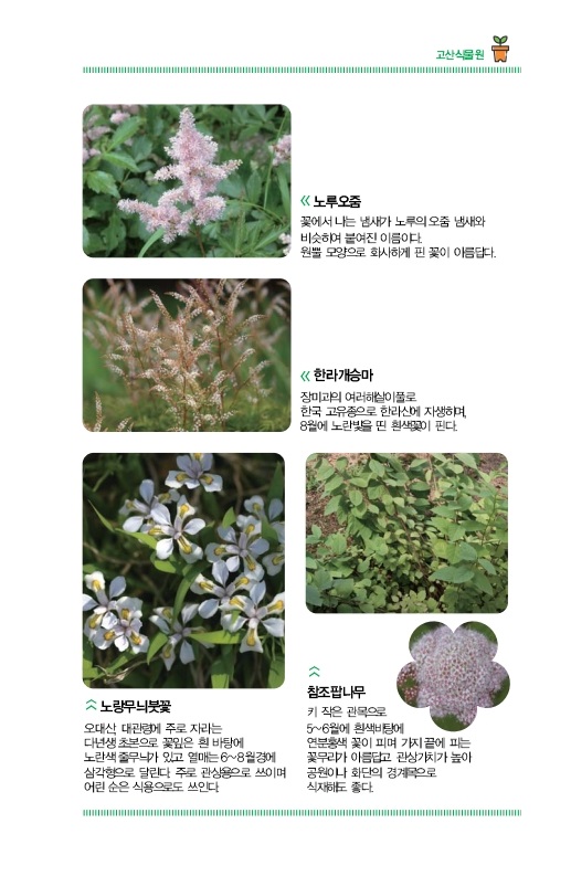 고산식물원
