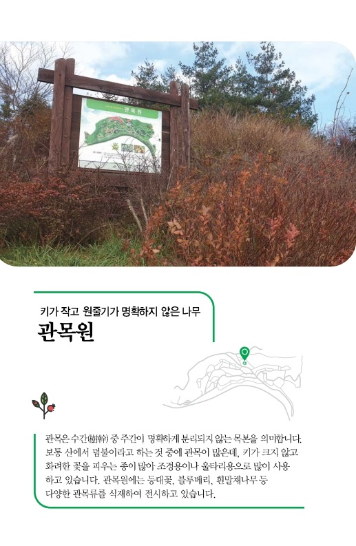 관목원