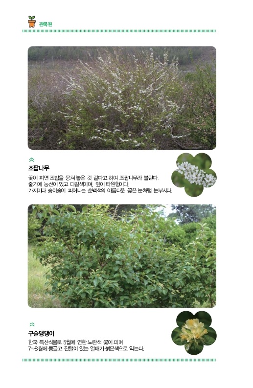 관목원