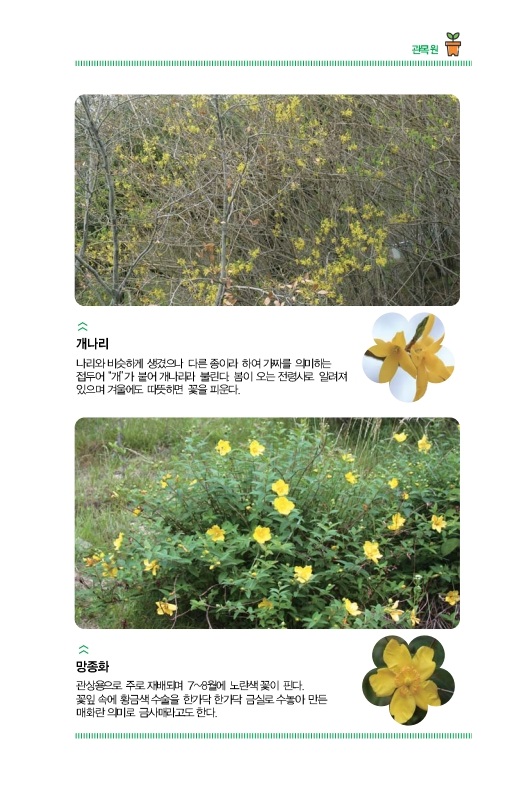 관목원
