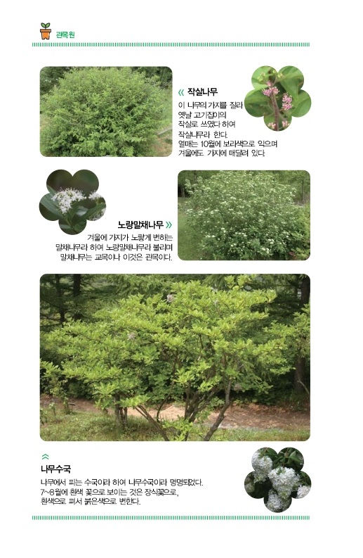 관목원