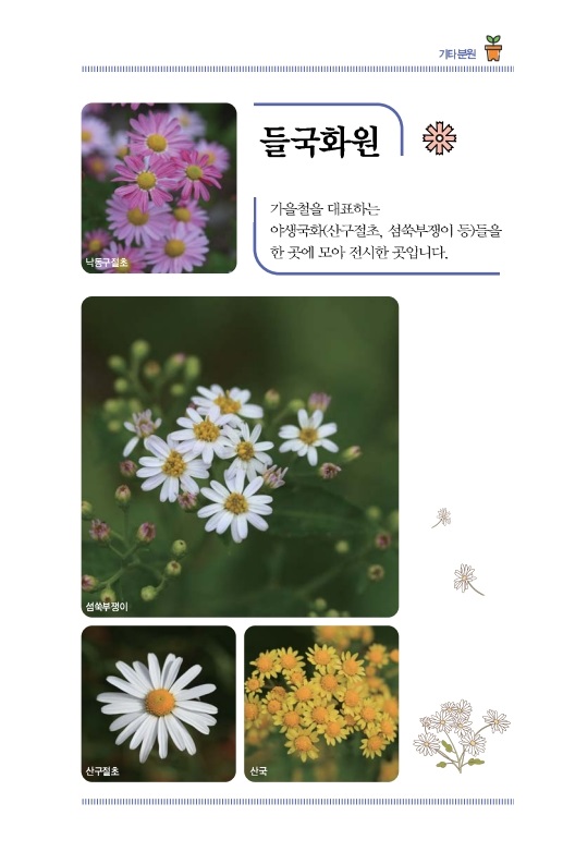 들국화원