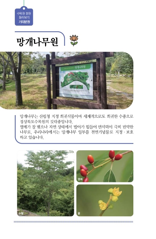 망개나무원